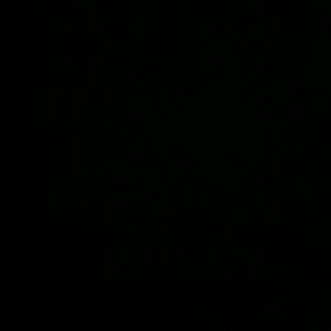 Meet your Posher, Hanin